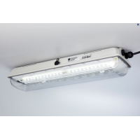 R. STAHL 線性燈具帶 LED EXLUX 系列 6402/4型線性燈具