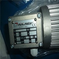 意大利Mini Motor AC 244PT B5減速電機
